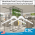 White Wooden Hangers for Blouses, shirts & Dresses, 17" x 0.50" with two Notches – White Matte, Item# WHBD-17-5-2W, by Clip Strip Corp.